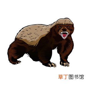 獾子是几级保护动物