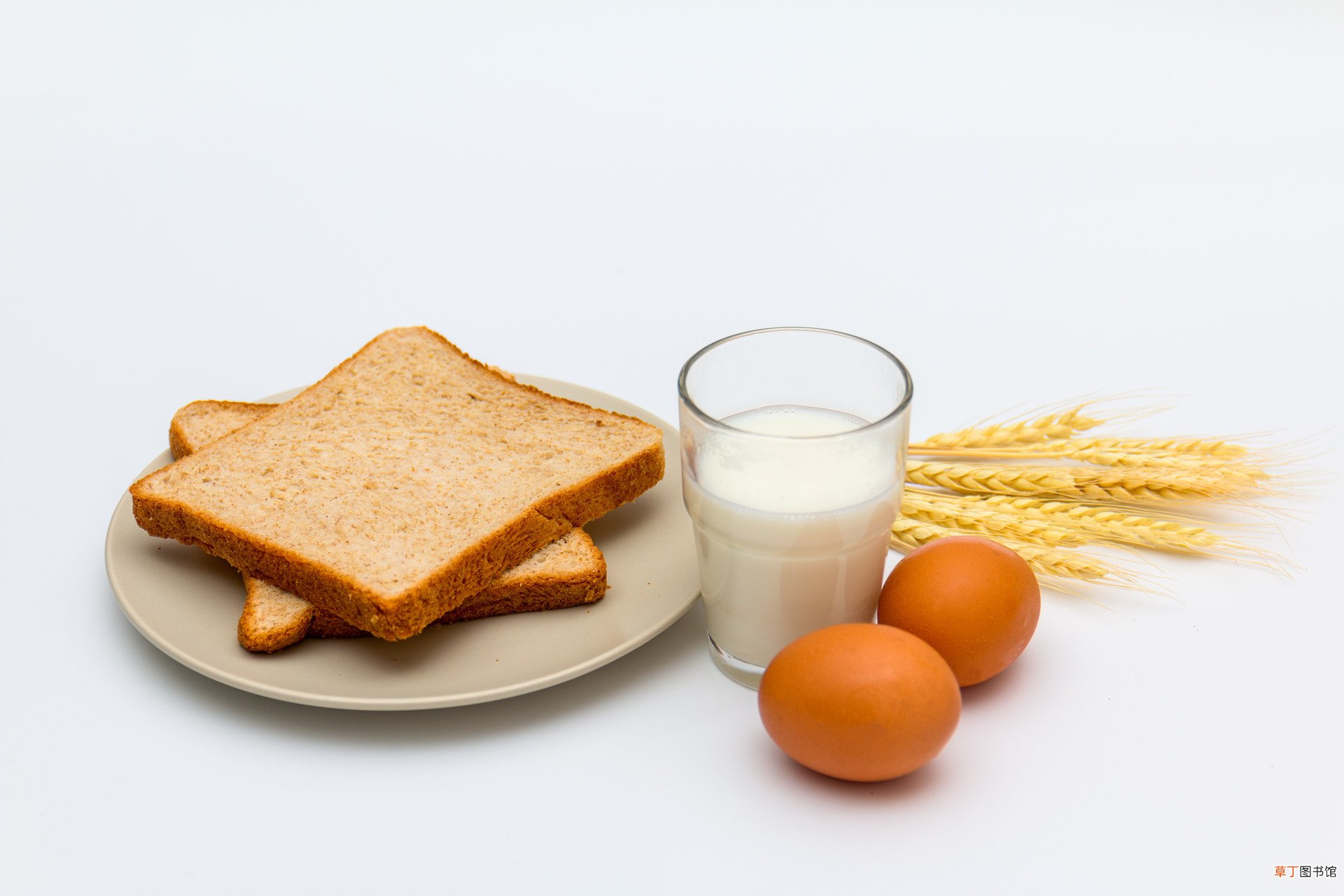乳清蛋白和蛋白质粉的区别