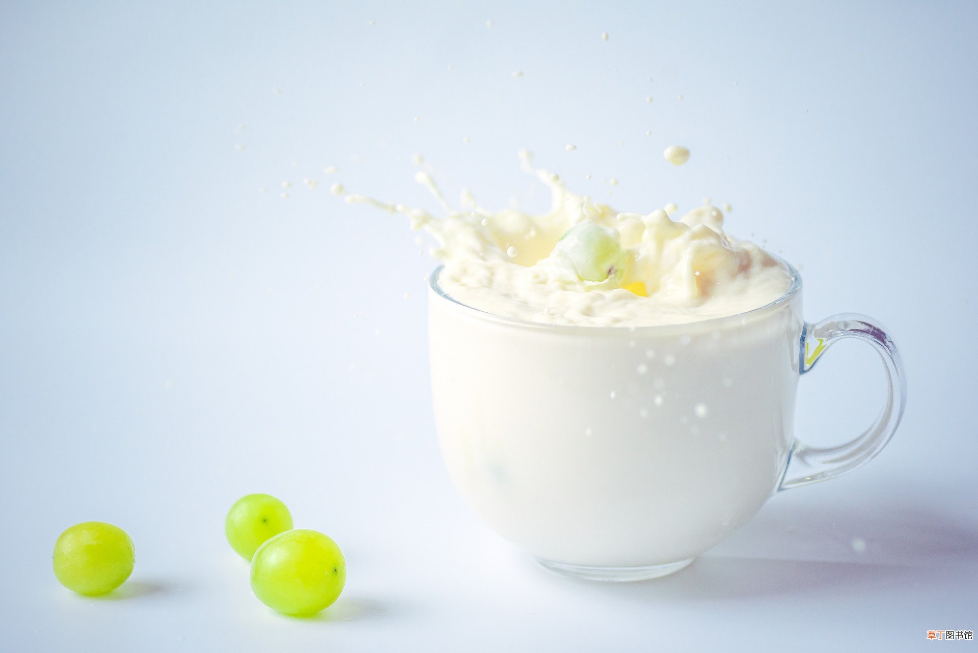 乳清蛋白和蛋白质粉的区别