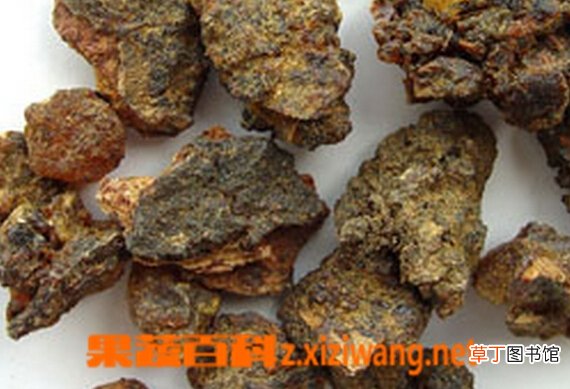 没药的功效与作用有哪些