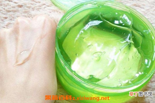 芦荟胶的功效与作用 芦荟胶的用途有哪些