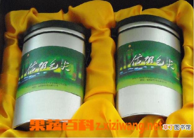 信阳毛尖绿茶图片