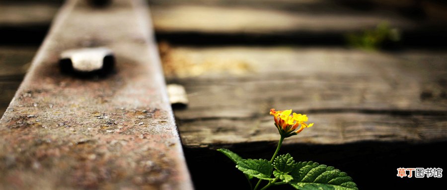 生铁和熟铁的区别