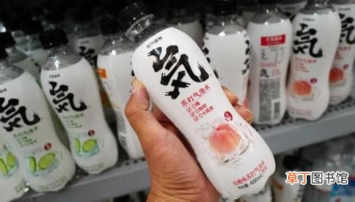 元气森林出事了?因运营事故损失200万?元气森林发公告恳请用户退款