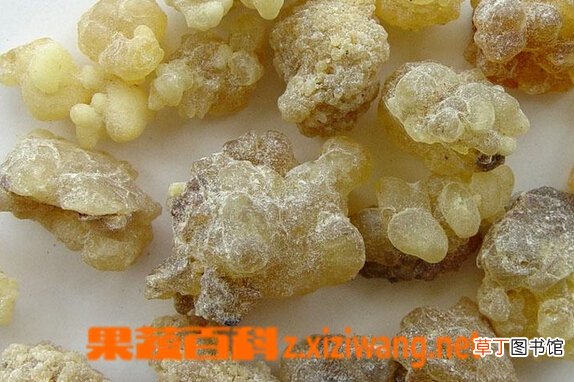 乳香的功效与作用有哪些