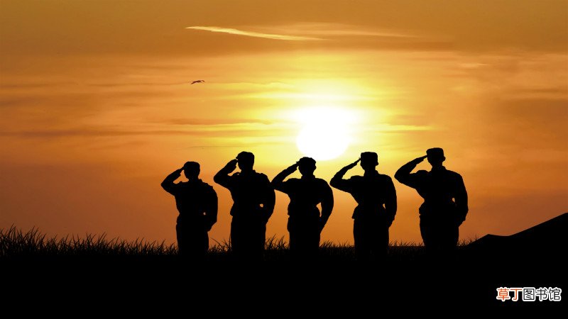 志愿兵和义务兵的区别