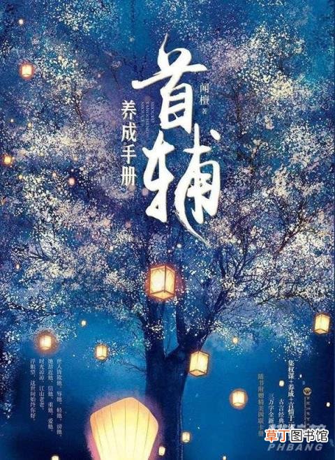 高质量虐心但结局好的小说?很虐但结局好文笔好的小说推荐