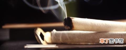 艾条可以驱蚊子吗 艾条可不可以驱蚊呢