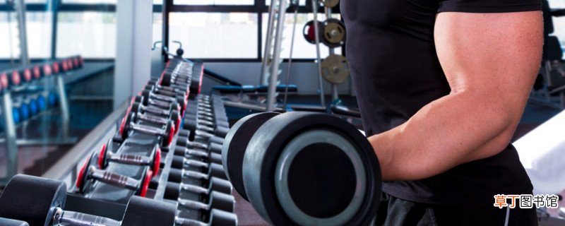 初学者哑铃锻炼方法