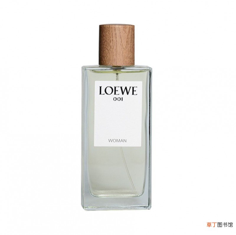 loewe和lv哪个档次高？