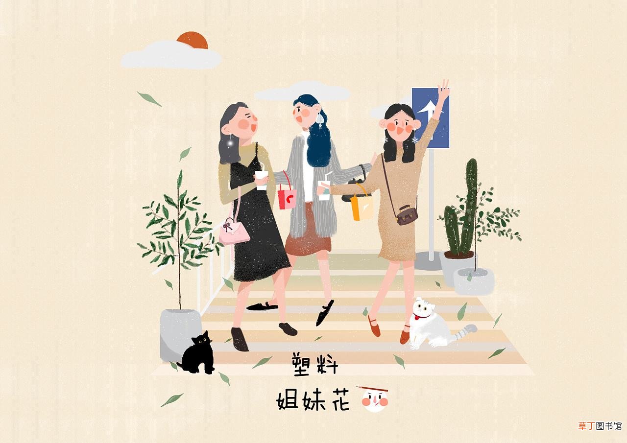 什么叫塑料兄弟