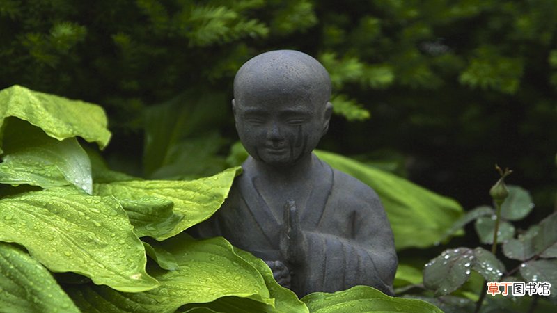 一花一世界的原诗出自哪里