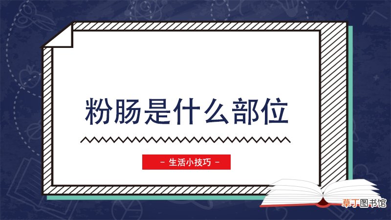 粉肠是什么部位