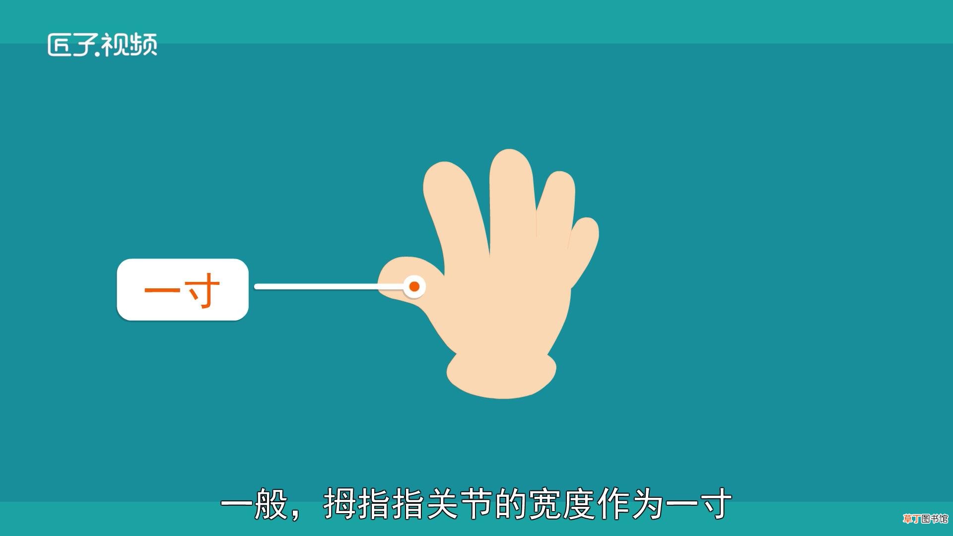 1.5寸是几个手指