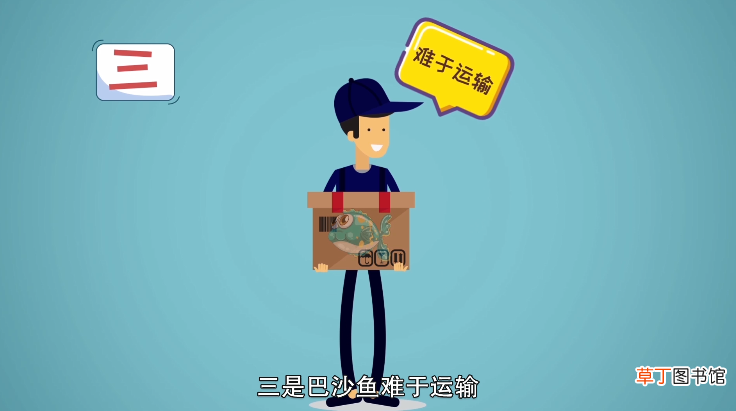 巴沙鱼为什么不能吃