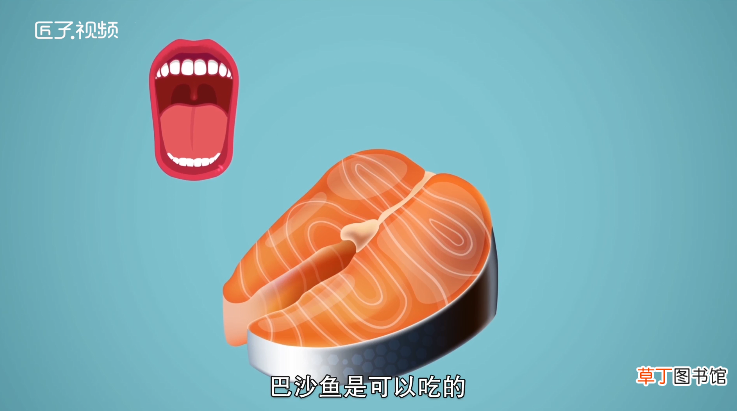 巴沙鱼为什么不能吃