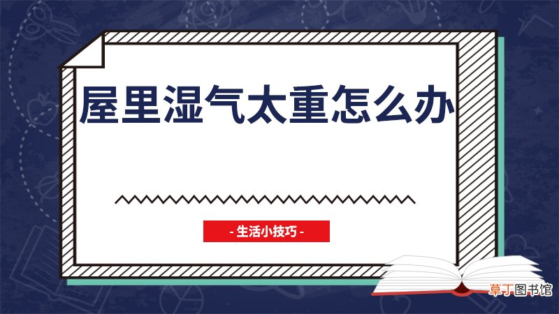 屋里湿气太重怎么办