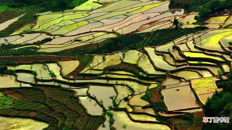 玉屏山在哪里