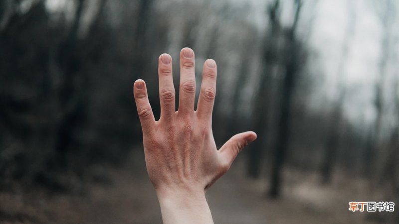 石头剪刀布是啥意思