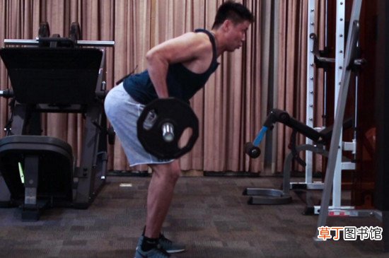 健身方法与技巧