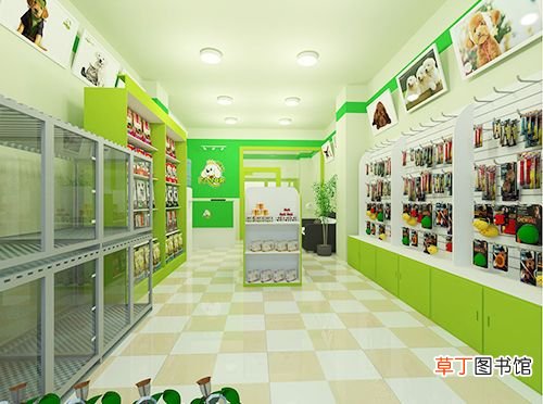 开宠物店都需要什么东西 开宠物店要准备哪些