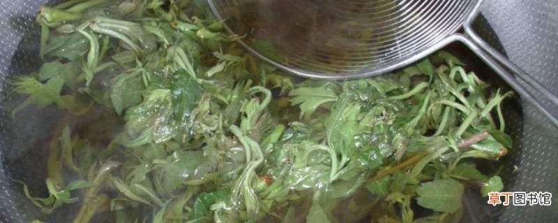 香椿煎蛋香椿要焯水吗