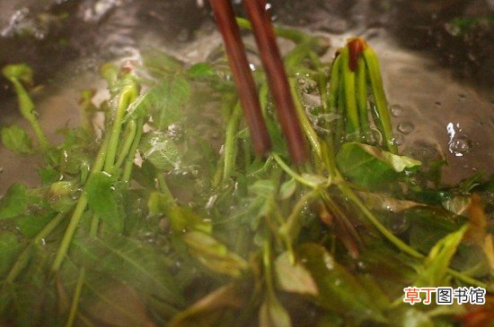 香椿煎蛋香椿要焯水吗