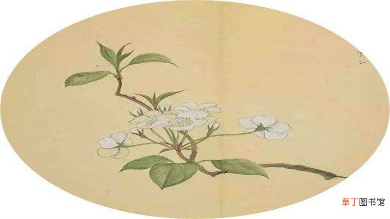 十五国风是指什么