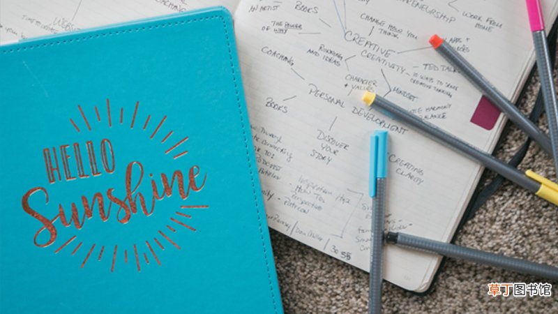 disspe中文意思是什么