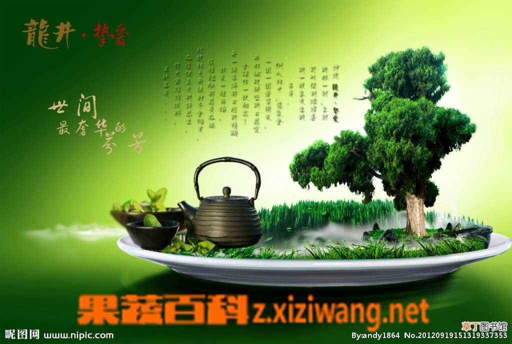 天天喝绿茶的好坏处