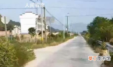 男子行凶未被羁押后驾车撞死母子 多名警员被起诉