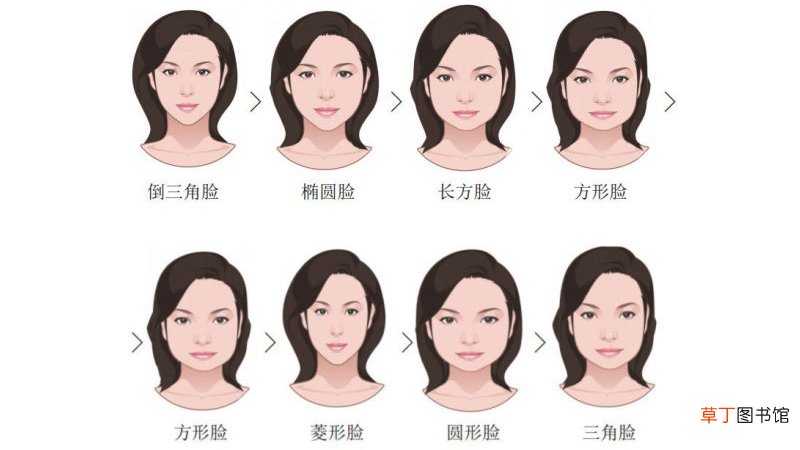 瓜子脸和鹅蛋脸的区别