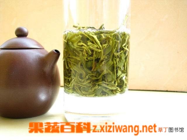 日照绿茶的功效与作用