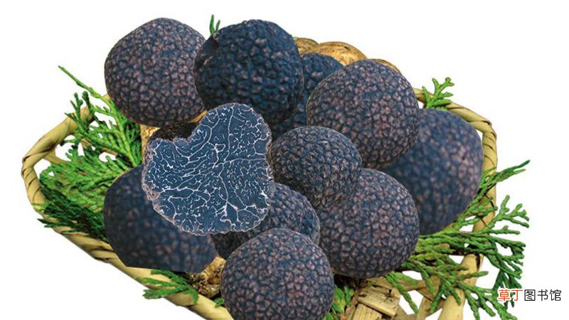 黑松露怎么吃