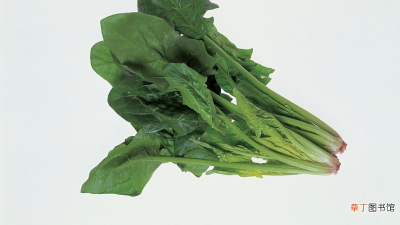 菠菜炒鸡蛋有毒吗