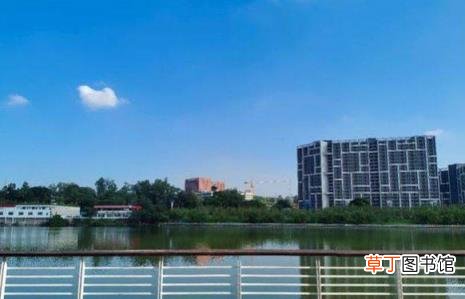 vivot1拍照效果怎么样?vivot1拍照功能详细介绍