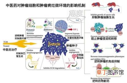 食欲下降是大病的前兆 厌食症如何治疗