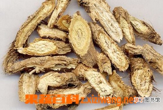 羌活的功效与作用