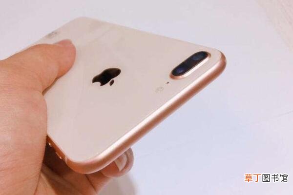 苹果8plus人像能自拍吗