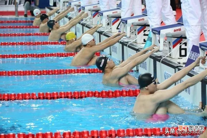 奥运会游泳比赛 游泳比赛竞赛规则