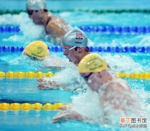 奥运会游泳比赛 游泳比赛竞赛规则