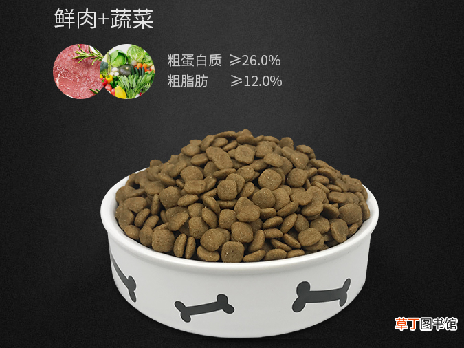 便溺怎么办 狗狗在家到处便溺？
