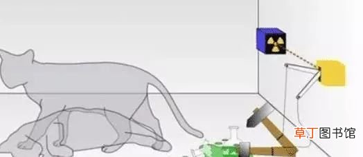 薛定锷的猫 “薛定谔的猫”究竟有多恐怖？