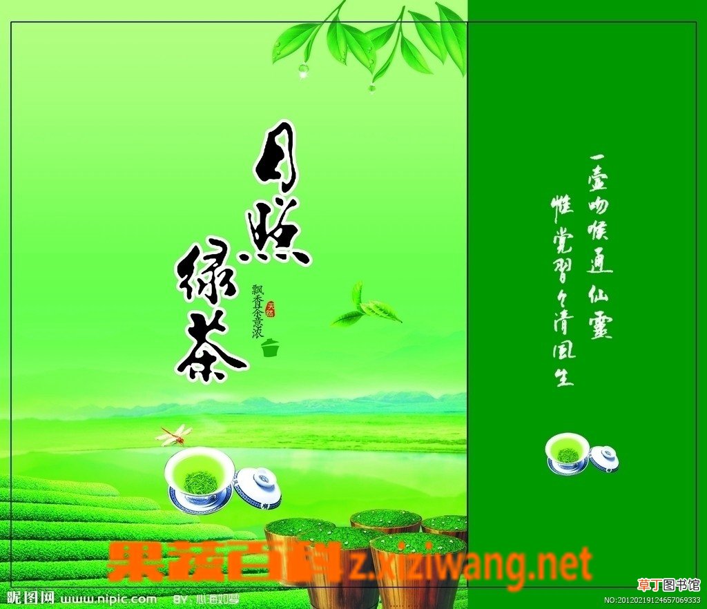 日照绿茶的冲泡方法