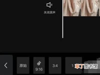剪映怎么自由调整视频比例