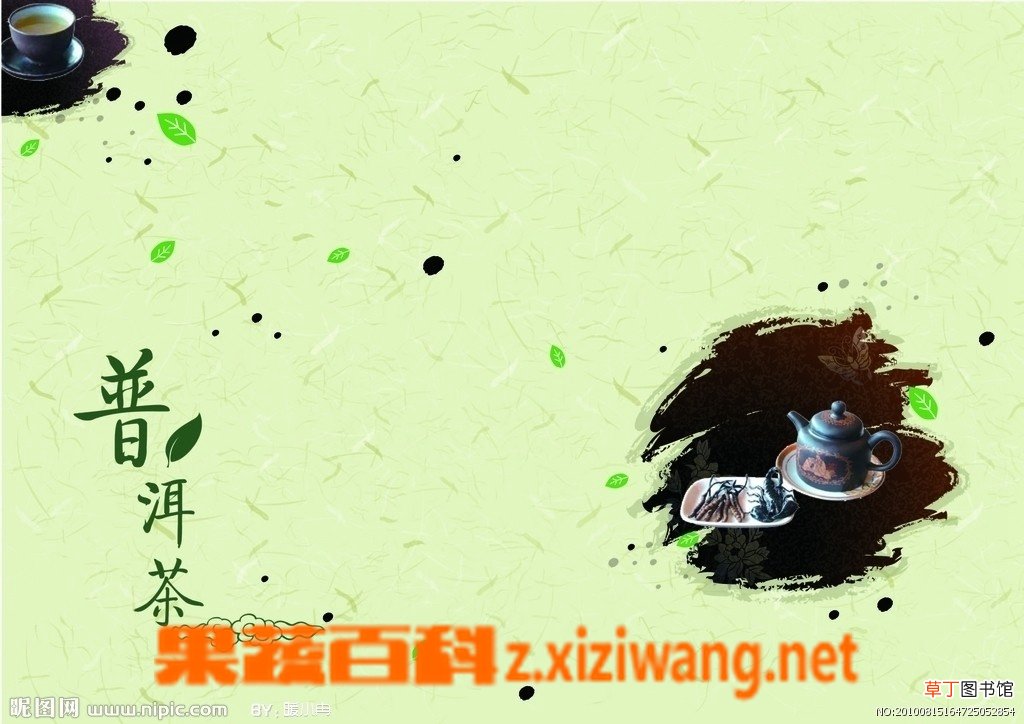 普洱茶怎么喝能减肥