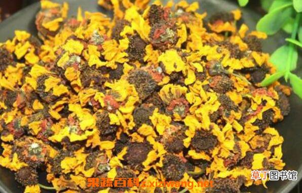菊花的功效与作用 菊花的药用价值