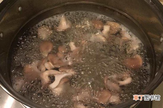 炒平菇的做法
