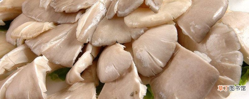 炒平菇的做法