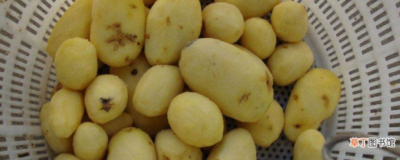 洋芋怎么做好吃又简单